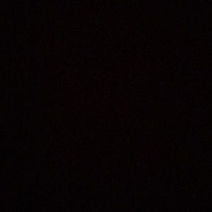 Meet your Posher, Mona